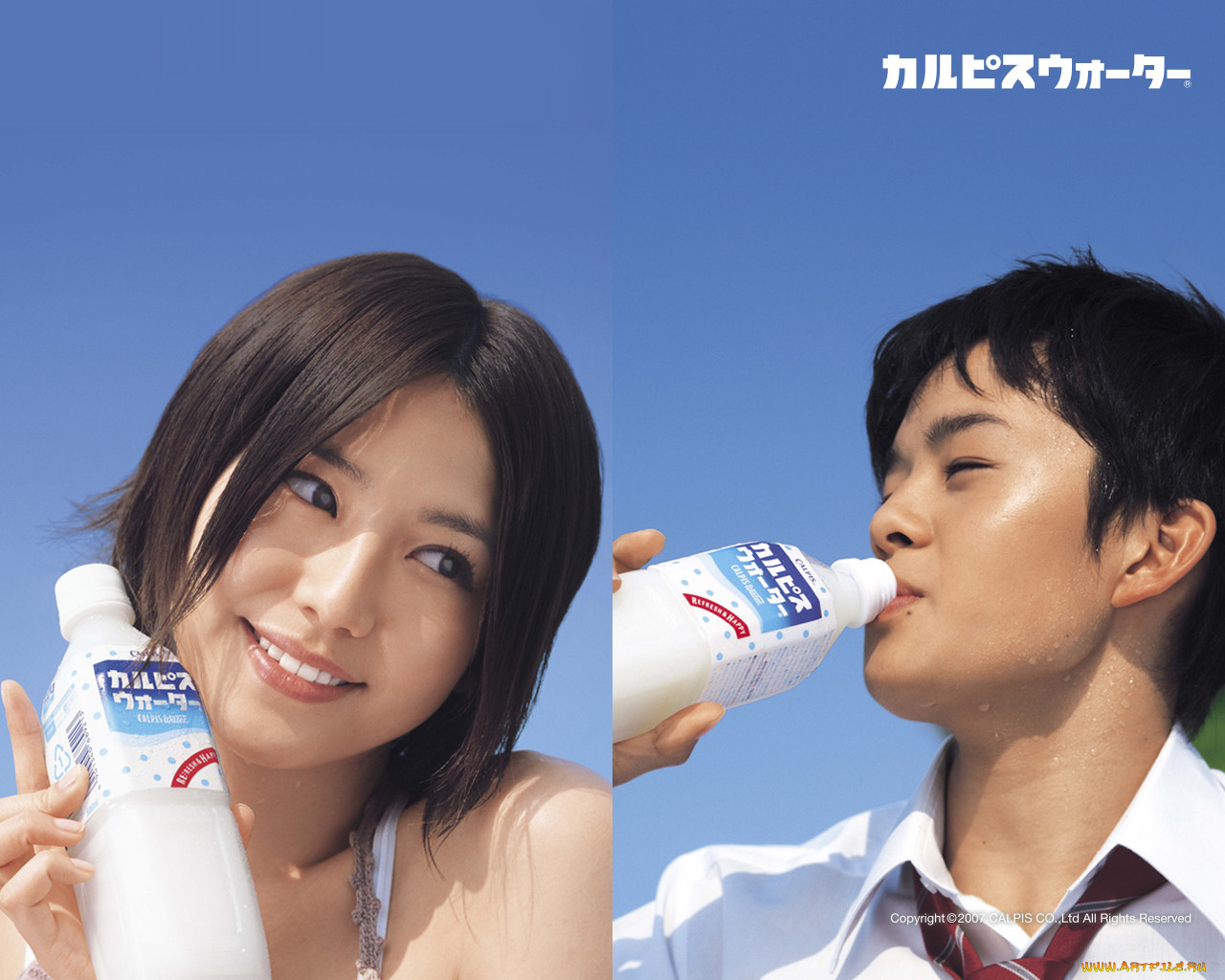 calpis, 